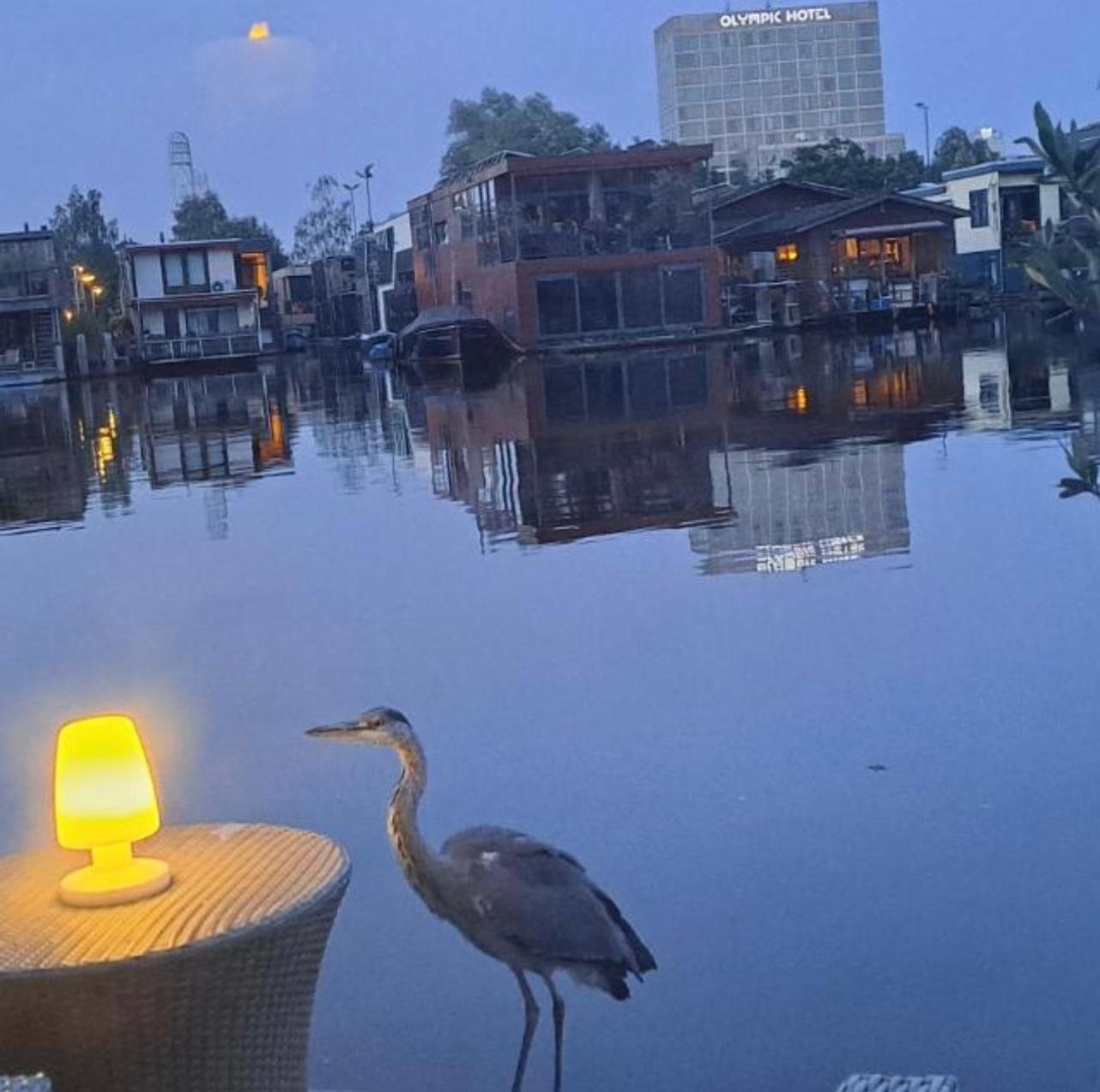 The New Lake Boathouse อัมสเตอร์ดัม ภายนอก รูปภาพ